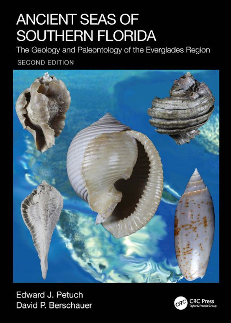 Ancient Seas of Southern Florida-Second Edition Superb-Petuch Ancient Seas of Southern Florida-Second Edition Superb-Petuch