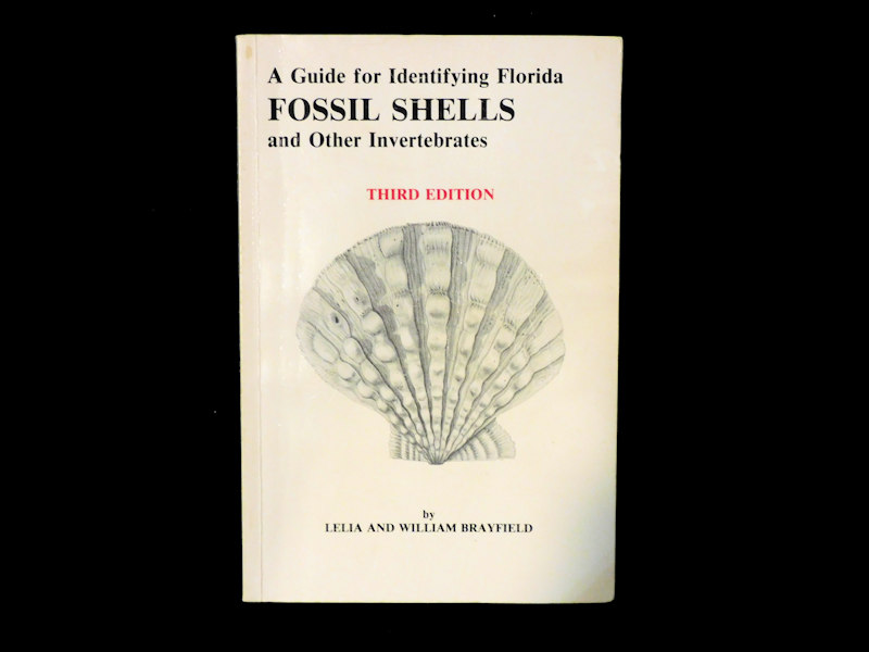 Guide for Identifying Florida Fossil Shells & Inverts #700170