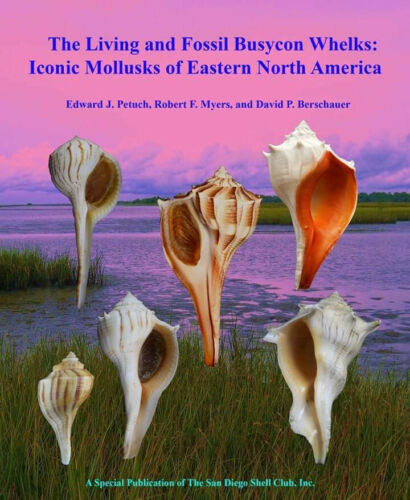 The Living and Fossil Busycon Whelks:Eastern North America#17372 The Living and Fossil Busycon Whelks:Eastern North America#17372