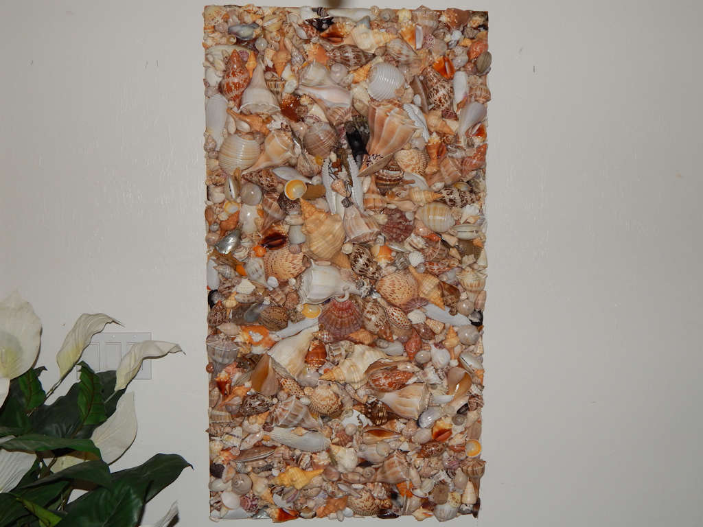 Magnificent Sanibel Seashells Collage 2' x 4' By Betty Briskin