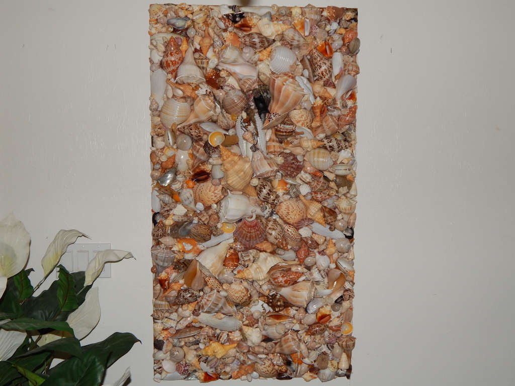 Magnificent Sanibel Seashells Collage 2' x 4' By Betty Briskin - Click Image to Close