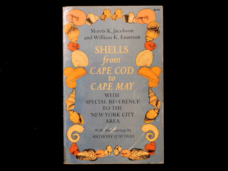 Shells from Cape Cod to Cape May-Emphasis on NY #700172 Shells from Cape Cod to Cape May-Emphasis on NY #700172