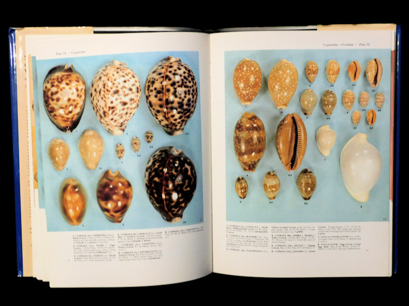 Collector's Guide to Seashells of the World-#17467 - Click Image to Close