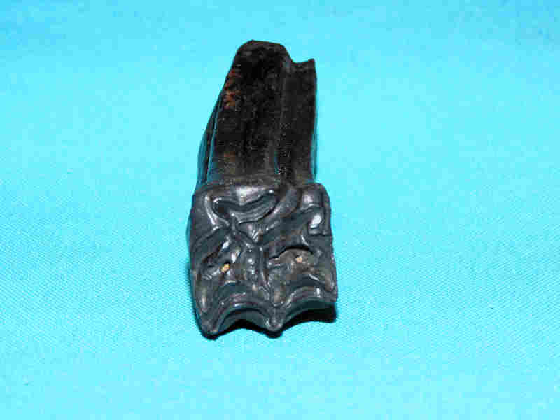 3” Equus Fossil Horse Tooth “SUPERB FLORIDA PLEISTOCENE FOSSIL” Lot#17959 (image for) 3” Equus Fossil Horse Tooth “SUPERB FLORIDA PLEISTOCENE FOSSIL” Lot#17959