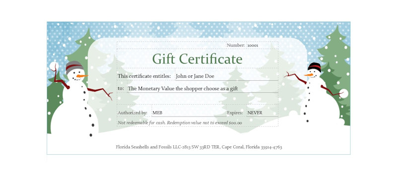 Florida Seashells & Fossils $75.00 Gift Certificate