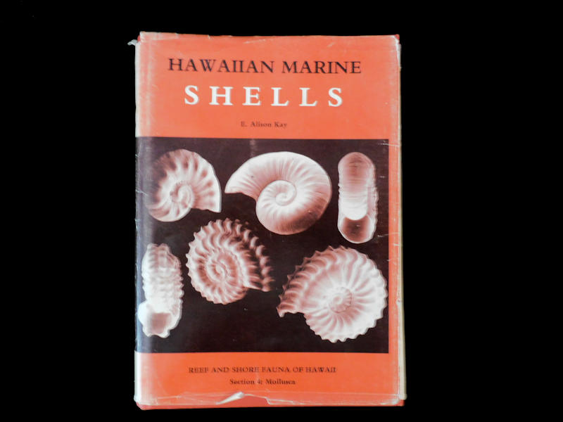 Hawaiian Marine Shells by: E. Alison Kay #700730 - Click Image to Close