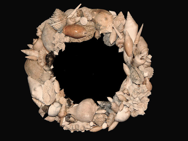 Florida Fossil Seashell Mirror 13 ¼” x 13 ¼”-Superb-Lot#14702