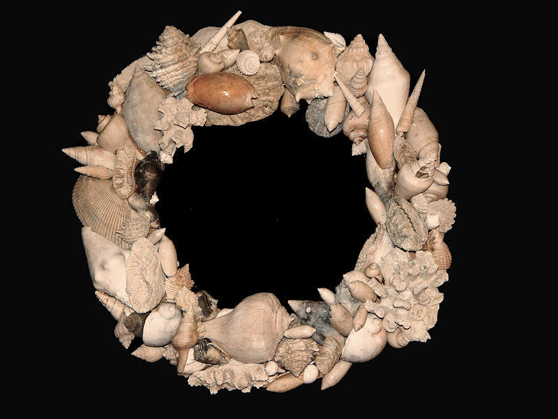 Florida Fossil Seashell Mirror 13 ¼” x 13 ¼”-Superb-Lot#14702 Florida Fossil Seashell Mirror 13 ¼” x 13 ¼”-Superb-Lot#14702