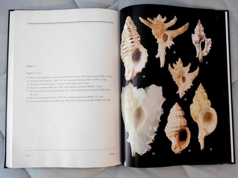 Catalogue of Recent Species of MURICIDAE since 1971 #700731