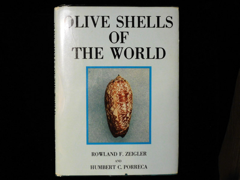 Olive Shells of The World by Zeigler & Porreca #700174