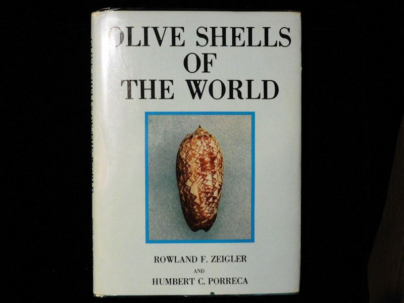 Olive Shells of The World by Zeigler & Porreca #700174 Olive Shells of The World by Zeigler & Porreca #700174