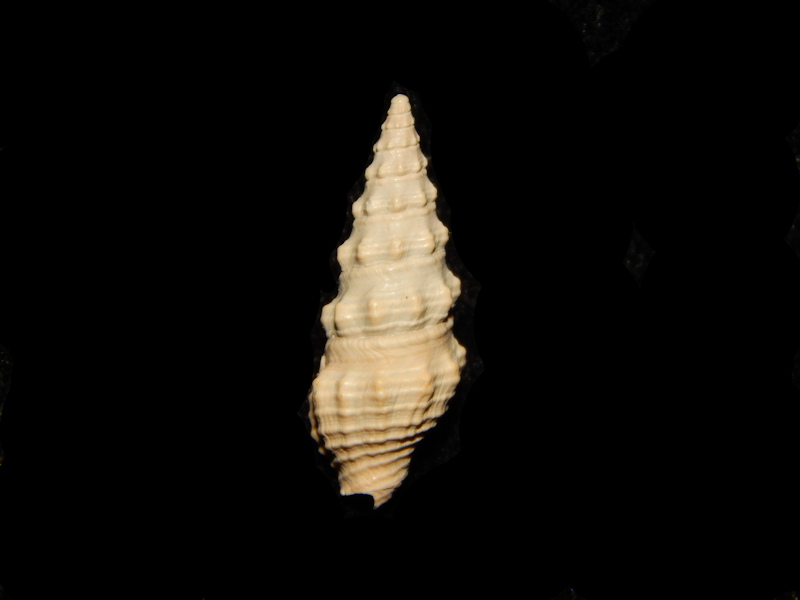A generic image