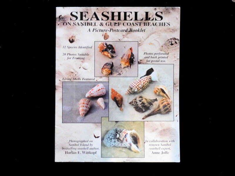 Seashells on Sanibel & Gulf Coast Beaches-Picture Postcard Book - Click Image to Close