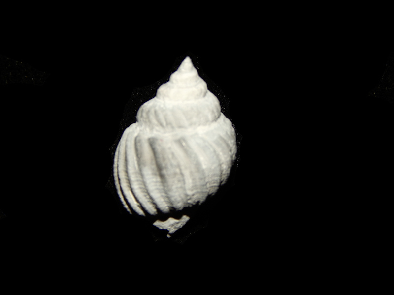 A generic image