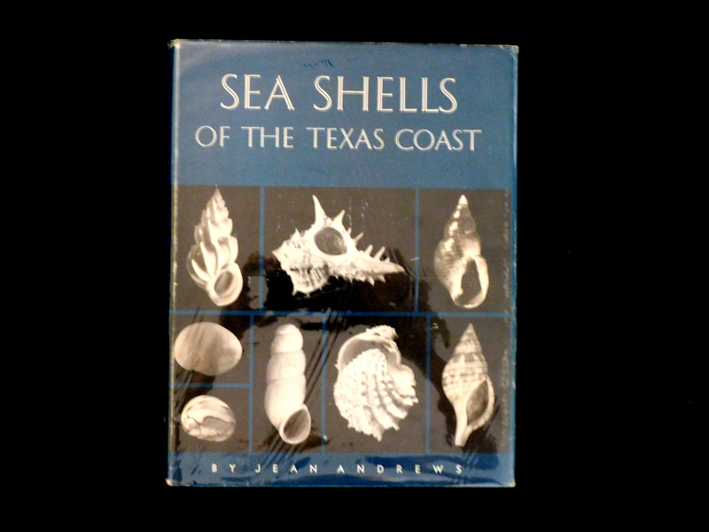 Seashells of the Texas Coast by Jean Andrews #700300 Seashells of the Texas Coast by Jean Andrews #700300